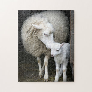 Puzzle Mama et mouton bébé