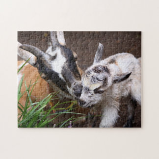 Puzzle Maman et bébé chèvre