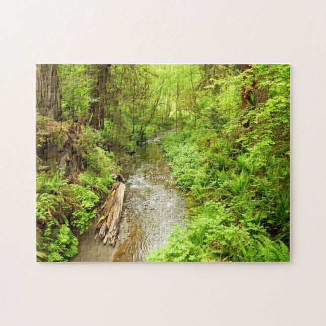 Puzzle Man Creek II perdu dans le parc national Redwood (Horizontal)
