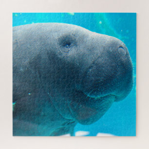 Puzzle Manatee