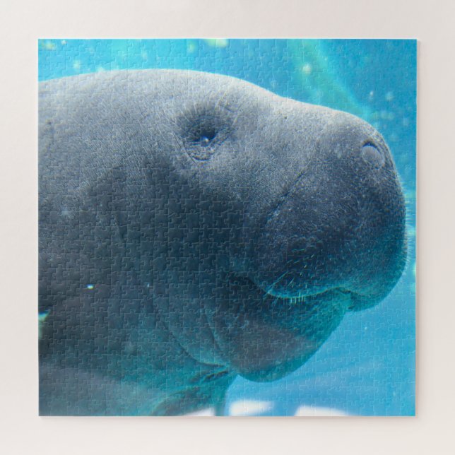 Puzzle Manatee (Horizontal)