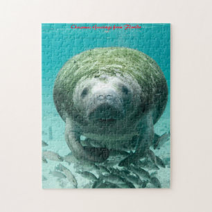 Puzzle Manatee Floride. Vœux de Noël