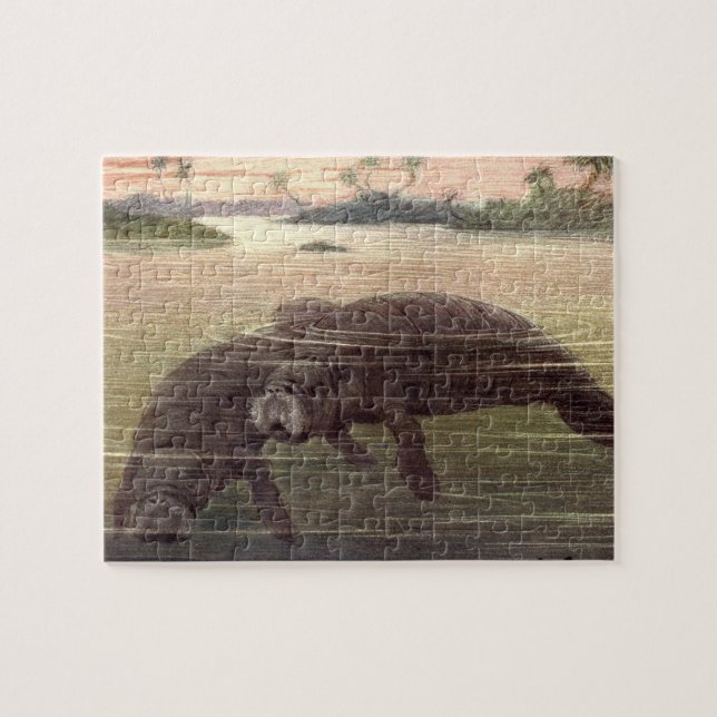 Puzzle Manats vintages ou vaches marines, Mammifères mari (Horizontal)