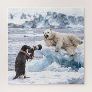 Puzzle Manchot photographiant un ours polaire en pose