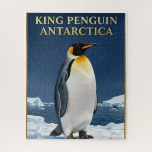 Puzzle 🐧 Manchot Royal Faune Antarctique