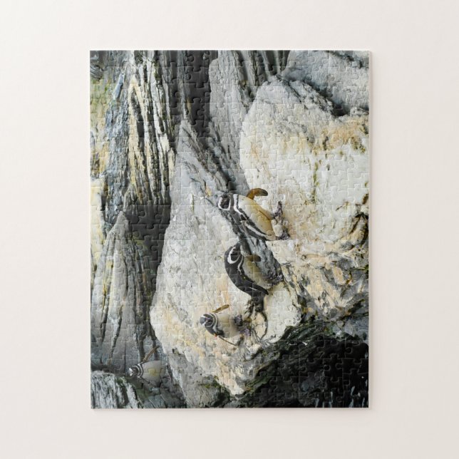 Puzzle Manchots de Humboldt. (Vertical)