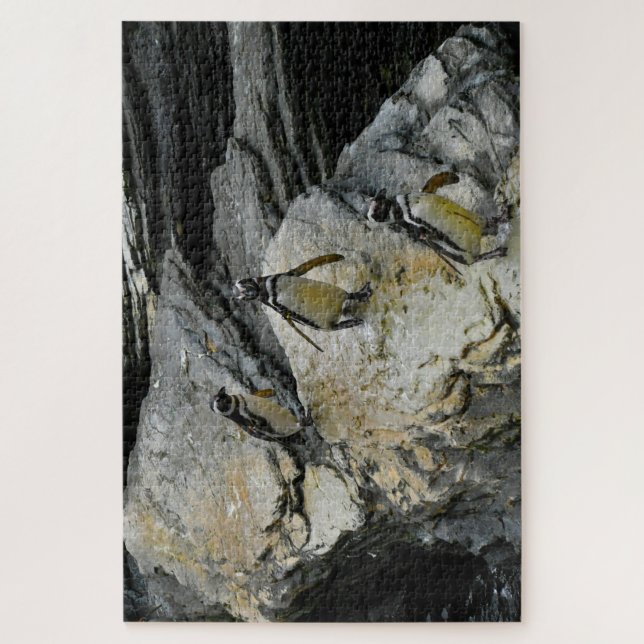 Puzzle Manchots de Humboldt. (Vertical)