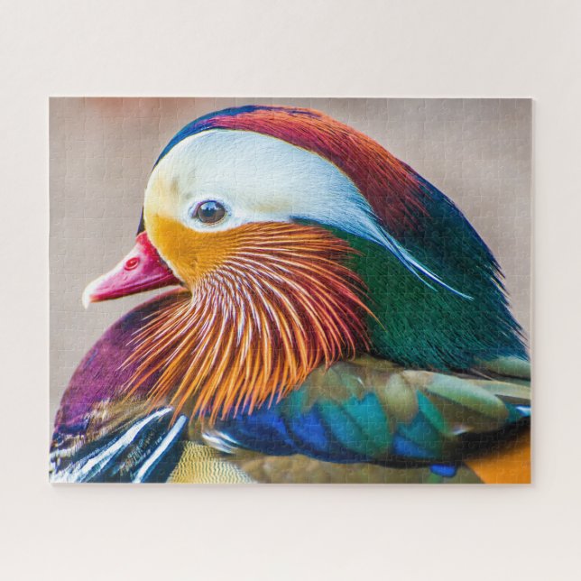 Puzzle Mandarin Canard Fermer Portrait (Horizontal)