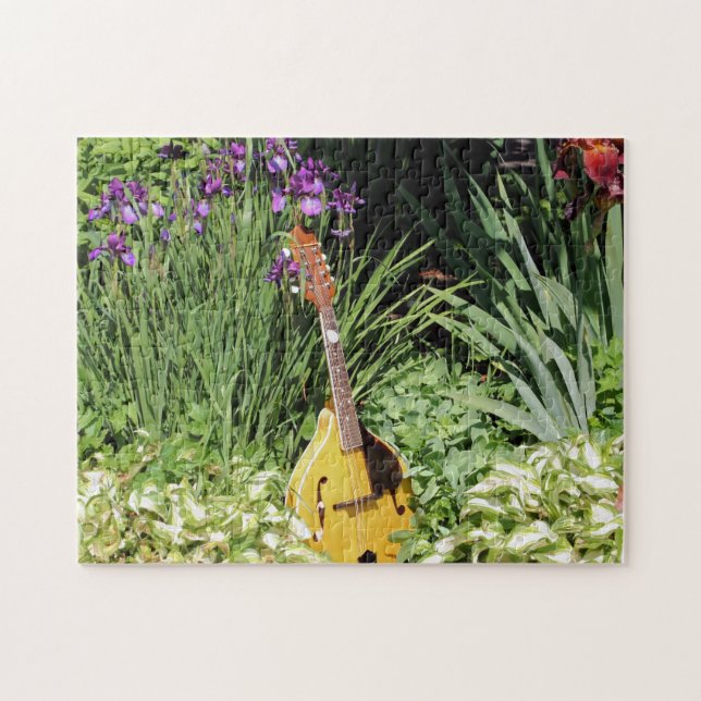 Puzzle Mandoline et jardin de fleurs d'iris  (Horizontal)