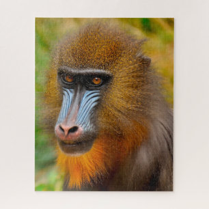 Puzzle Mandril.