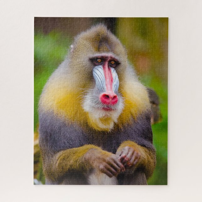 Puzzle Mandrill Monkeys. (Vertical)