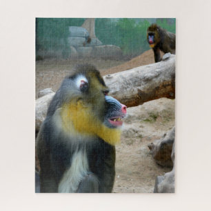 Puzzle Mandrills