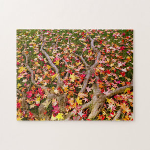 Puzzle Maple Leavs