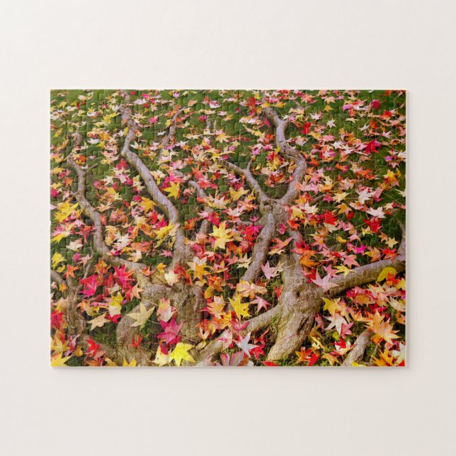 Puzzle Maple Leavs (Horizontal)