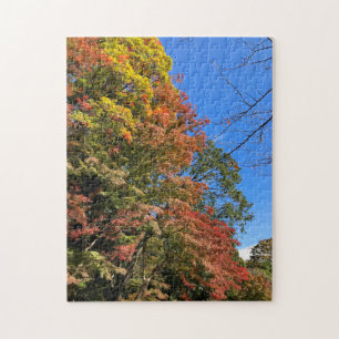 Puzzle Maples colorées vives