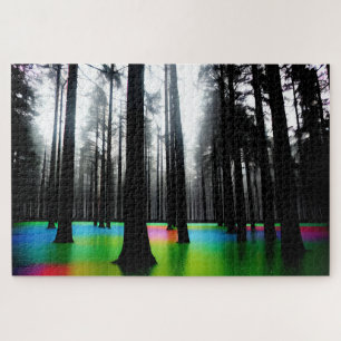 Puzzle Marais arc-en-ciel en Forêt Noire et Blanche