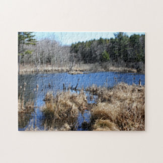 Puzzle Marais Au Printemps Orton Effet Nature