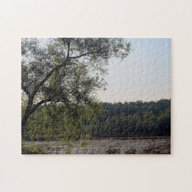 Puzzle Marais Et Arbre Serene Nature (Horizontal)