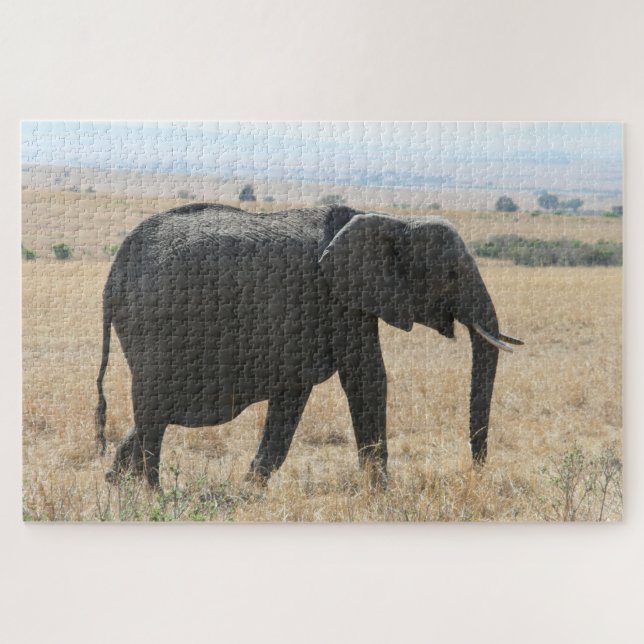 Puzzle marche des éléphants (Horizontal)