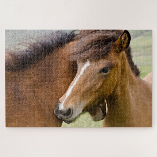 Puzzle Mare Et Colt (Horizontal)
