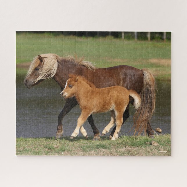 Puzzle Mare miniature et poulain marchant au bord du lac (Horizontal)