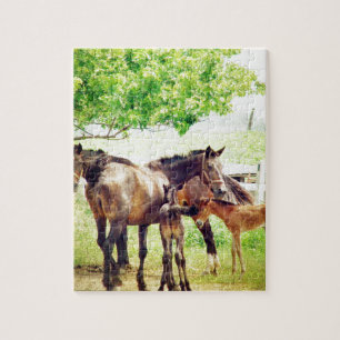 Puzzle Mares et poulains