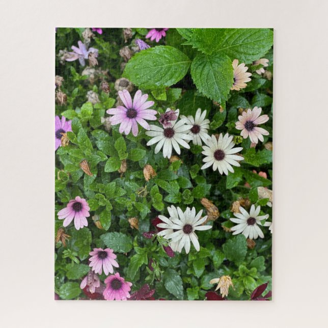 Puzzle Marguerite blanche, Séoul (Vertical)