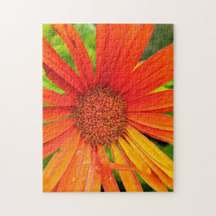 Puzzle Marguerite Orange