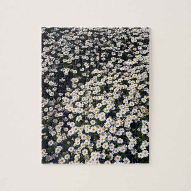 Puzzle marguerites blanches (Vertical)