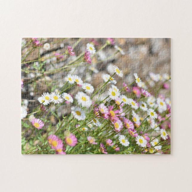 Puzzle Marguerites blanches roses miniatures Nature Fleur (Horizontal)
