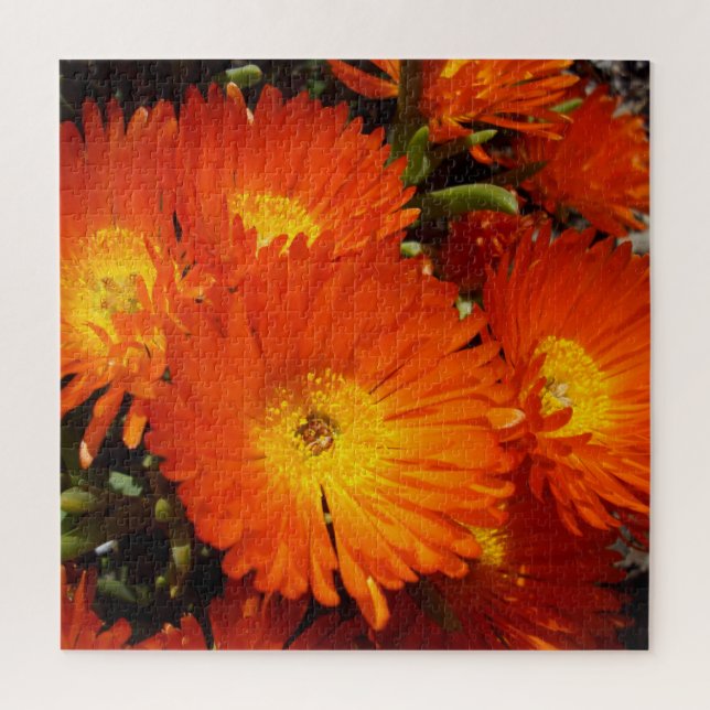 Puzzle Marguerites géantes, (Vertical)