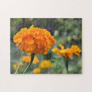 Puzzle Marigold Orange Fleur Nature Jardin photographique