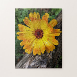 Puzzle marigold sur le journal