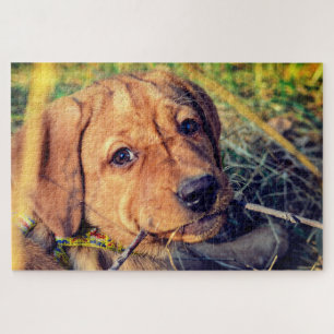 Puzzle Marionnette du Labrador