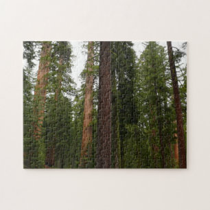 Puzzle Mariposa Grove dans le parc national de Yosemite