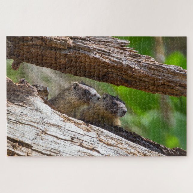Puzzle Marmot Brothers (Horizontal)