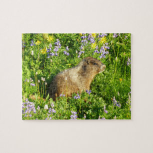 Puzzle Marmot dans le Mont Rainier Fleurs sauvages