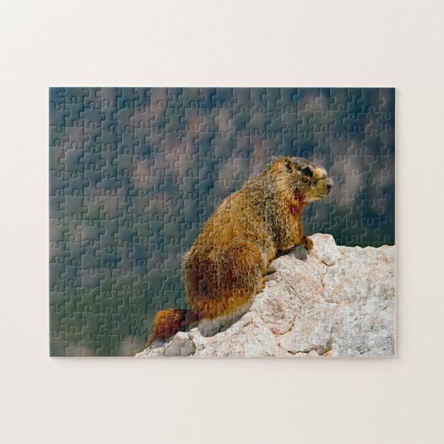 Puzzle Marmotte à ventre jaune Utah. (Horizontal)