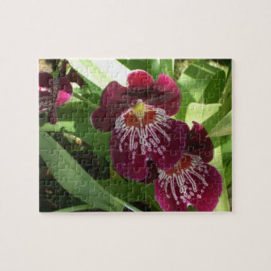 Puzzle Maroon Orchids II