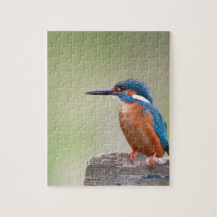 Puzzle Martin pêcheur.