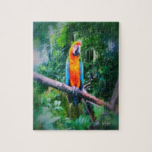 Puzzle Martinique Macaw