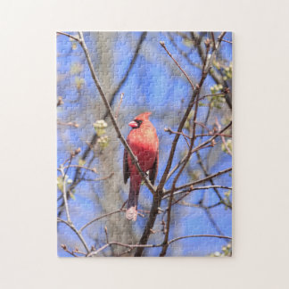 Puzzle masculin Cardinal du nord dans l'arbre