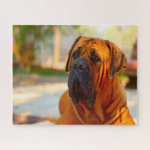 Puzzle Mastiff Dog.