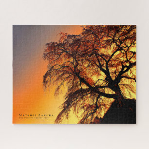 Puzzle Matabei-Zakura : Cerisier pleureur