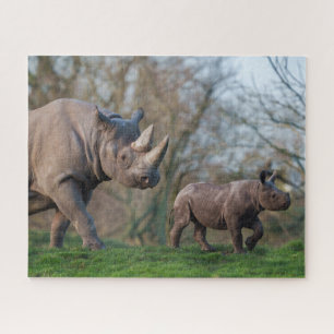 Puzzle Maternité chez les rhinocéros