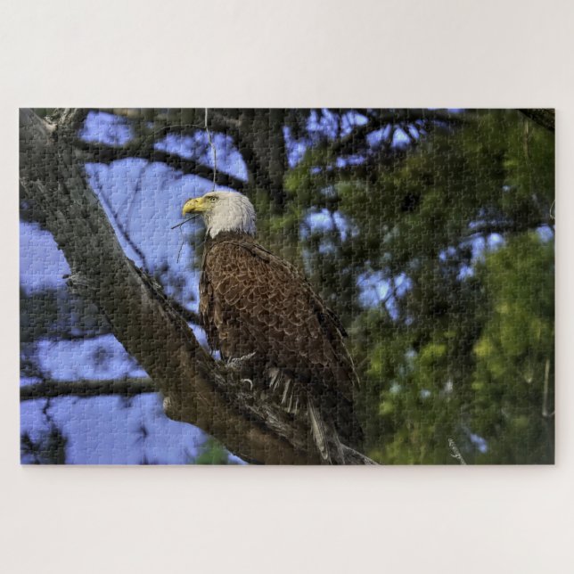 Puzzle Mature Bald Eagle  (Horizontal)