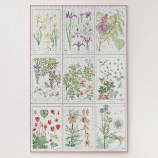 Puzzle Maurice Pillard Verneuil Illustrations botaniques