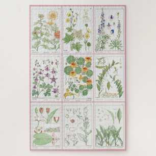 Puzzle Maurice Pillard Verneuil Illustrations botaniques