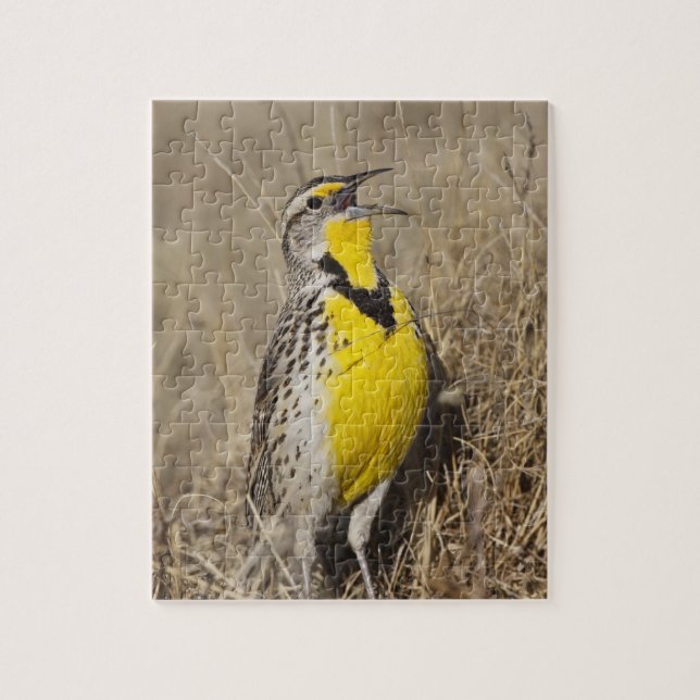 Puzzle Meadowlark occidental (Strunella négligecta) (Vertical)