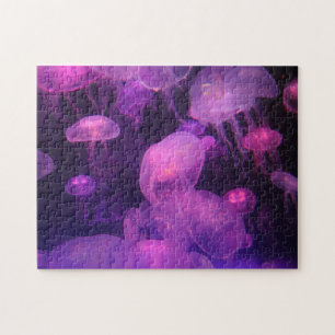 Puzzle Méduse rose et violette